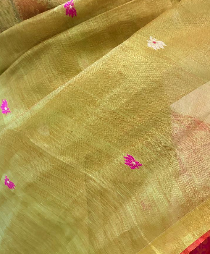 Sage Green Pure Linen Saree with Floral Motifs