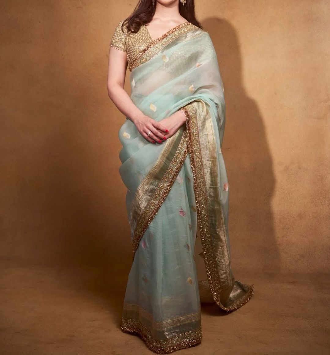 Banarasi Tissue Mint Green Saree