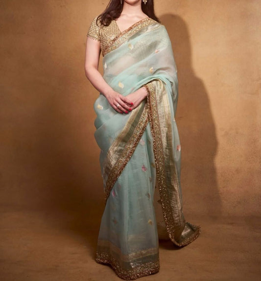 Banarasi Tissue Mint Green Saree