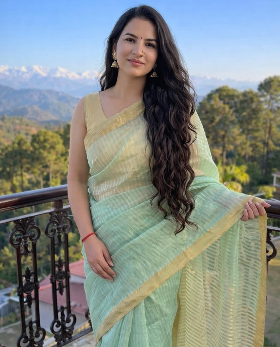 Mint Green Organza Chanderi Saree