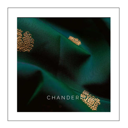Chanderi Saree with floral motifs